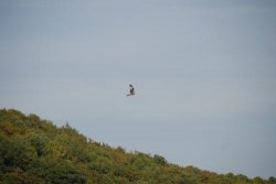 Am Edersee (69)